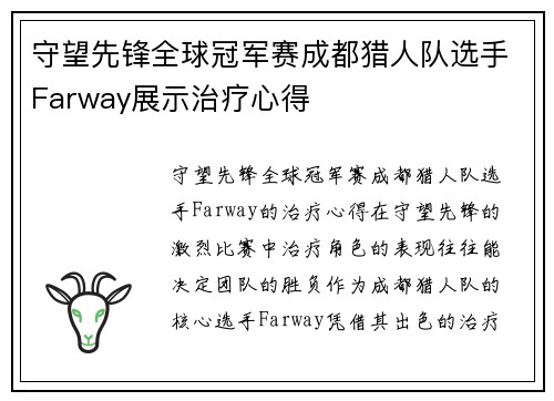 守望先锋全球冠军赛成都猎人队选手Farway展示治疗心得