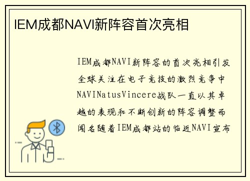 IEM成都NAVI新阵容首次亮相